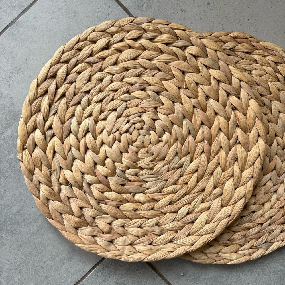 Set of 6 Water Hyacinth Placemats